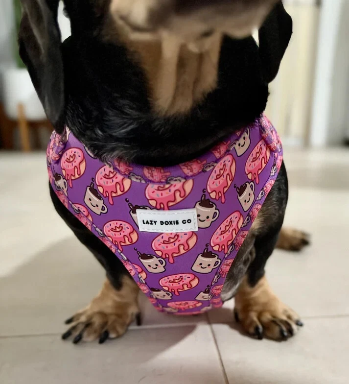 Sausage Dog dachshund-specific Weiner Dog harness Lazy Doxie Co - Dachuccino - Image 3