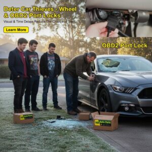 Car Theft on the rise - How to Protect Yours...